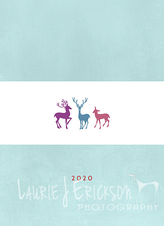 HS3 - 5x7 Photo Card - 16 - Back