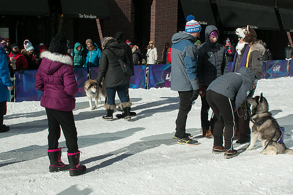 IMG-3265