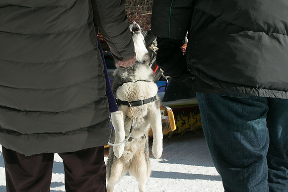 IMG-3316
