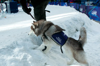 IMG-2876
