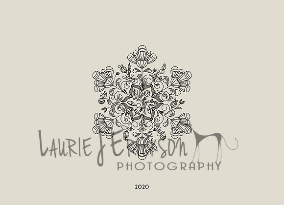 5x7 Photo Card - HS5 - 06 - B-Edit copy
