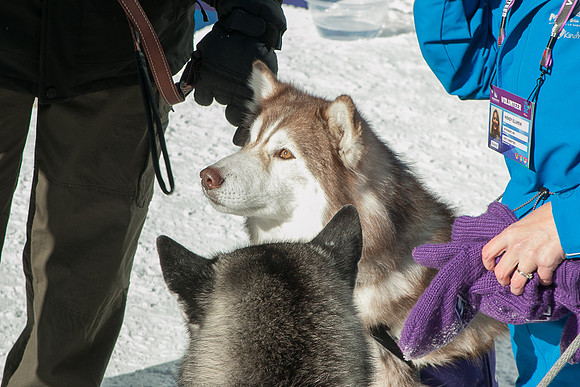IMG-3418