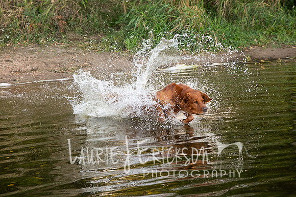 IMG_6707