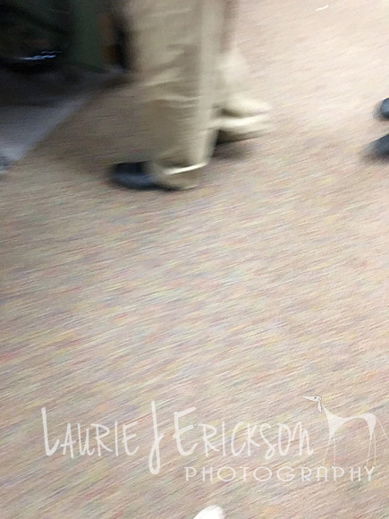 2016-11-24 13.34.15
