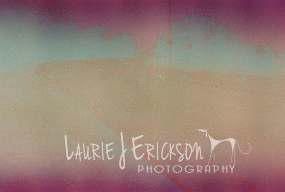 Roll1_440304-R1-07-7