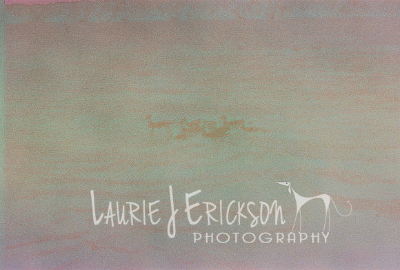 Roll1_440304-R1-11-11