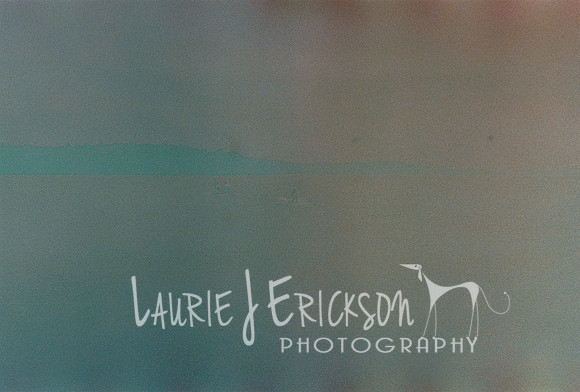 Roll1_440304-R1-18-18