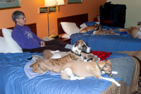 IMG-2929