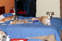 IMG-2932
