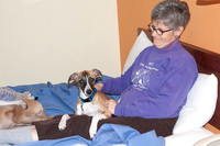 IMG-2942