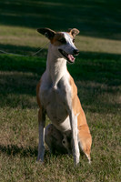 IMG-9218