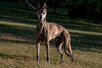 IMG-9203
