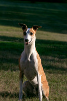 IMG-9219
