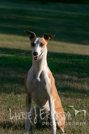 IMG-9219