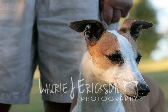 IMG-9348