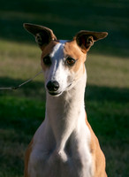 IMG-9220-2