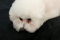 IMG-8793