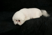 IMG-8794