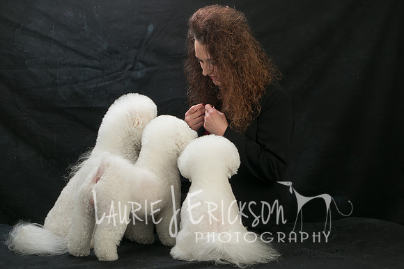 IMG-8921