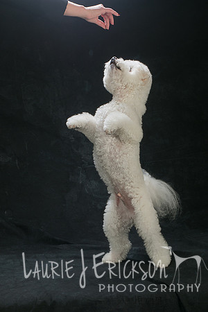 IMG-8864