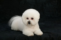 IMG-8790