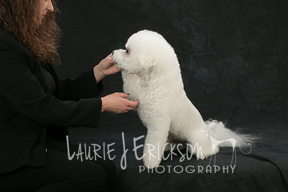 IMG-8859