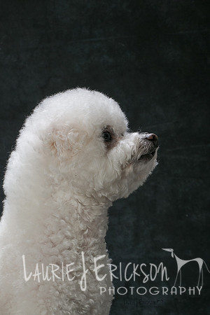 IMG-8852