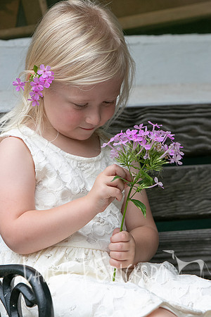 IMG-9506