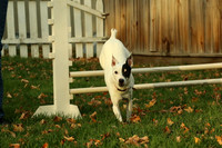 IMG_7115