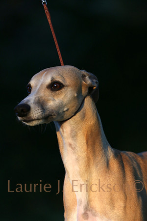 IMG_4066