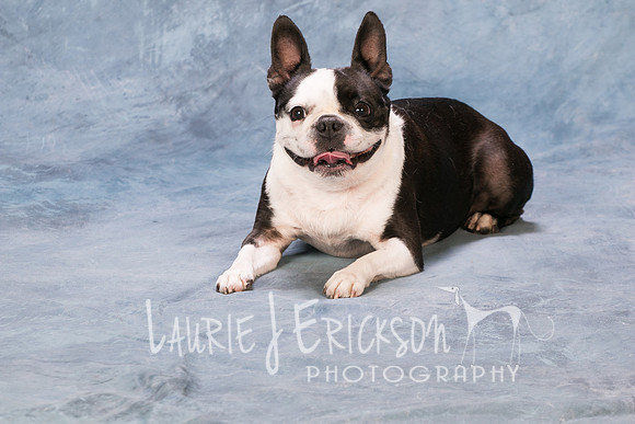 IMG-6437