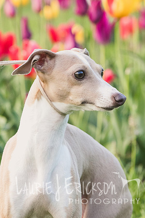 IMG-0348