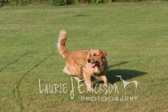 IMG_0689