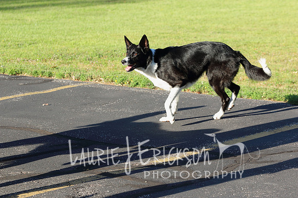 IMG_0665 copy