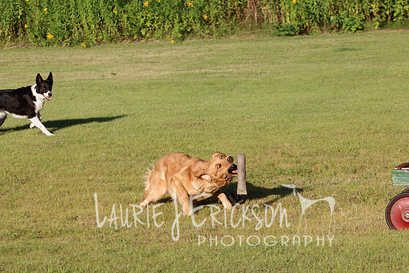 IMG_0666 copy