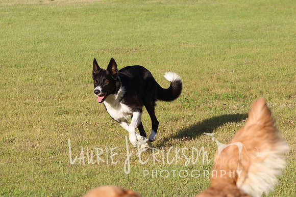 IMG_0667 copy