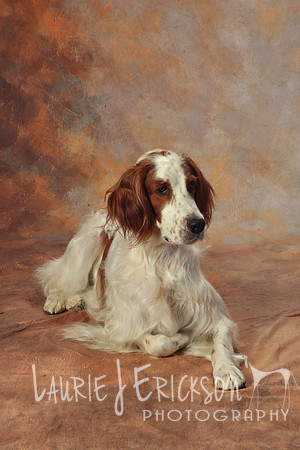 IMG_0398