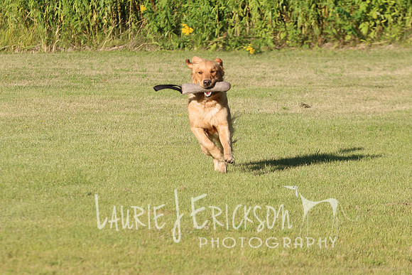 IMG_0664 copy
