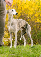 IMG-9670