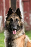 IMG_5271