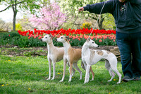 IMG-9875