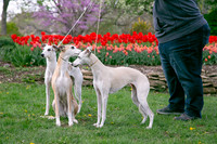 IMG-9888