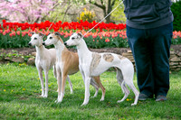 IMG-9878