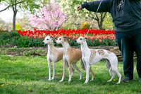 IMG-9876
