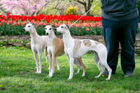 IMG-9877