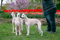 IMG-9887