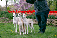 IMG-9889