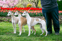 IMG-9879