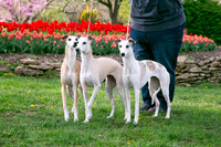 IMG-9880