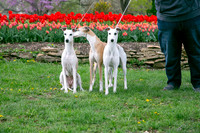 IMG-9883